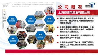 互聯(lián)網(wǎng)科技開發(fā)與技術(shù)服務 重塑物業(yè)管理行業(yè)的未來